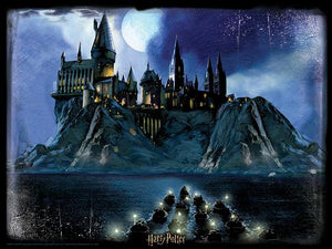 Lenticular 3D Puzzle: Harry Potter Hogwarts at Night - 4DPuzz - 4DPuzz