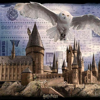 Lenticular 3D Puzzle: Harry Potter Hogwarts Daytime - 4DPuzz - 4DPuzz